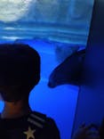 サンシャイン水族館に投稿された画像（2022/5/7）