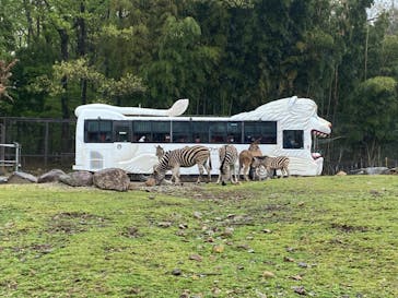 那須サファリパークに投稿された画像（2022/5/7）