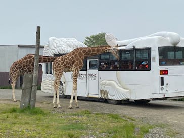 那須サファリパークに投稿された画像（2022/5/7）