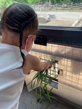 群馬サファリパークに投稿された画像（2022/5/7）