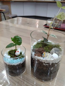 伊勢夫婦岩めおと横丁　めおと岩アクティビティに投稿された画像（2022/5/7）