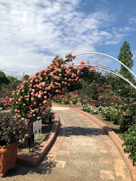 ひらかたパークに投稿された画像（2022/5/7）