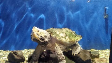 ゼロ距離水族館 伊勢シーパラダイスに投稿された画像（2022/5/7）