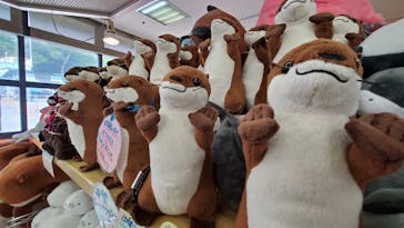 ゼロ距離水族館 伊勢シーパラダイスに投稿された画像（2022/5/7）