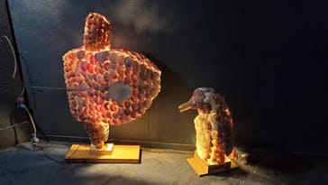 ゼロ距離水族館 伊勢シーパラダイスに投稿された画像（2022/5/7）