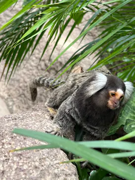 神戸どうぶつ王国に投稿された画像（2022/5/7）