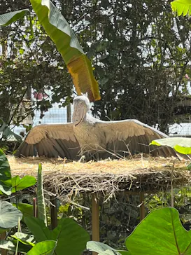 神戸どうぶつ王国に投稿された画像（2022/5/7）