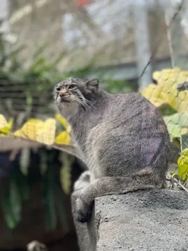 神戸どうぶつ王国に投稿された画像（2022/5/7）