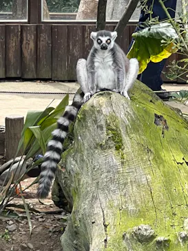 神戸どうぶつ王国に投稿された画像（2022/5/7）