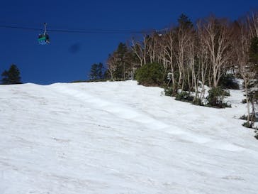 志賀高原焼額山スキー場に投稿された画像（2022/5/7）