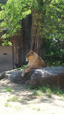 天王寺動物園に投稿された画像（2022/5/7）
