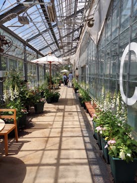 いばらきフラワーパークに投稿された画像（2022/5/7）