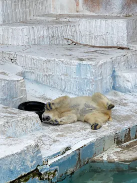 天王寺動物園に投稿された画像（2022/5/7）