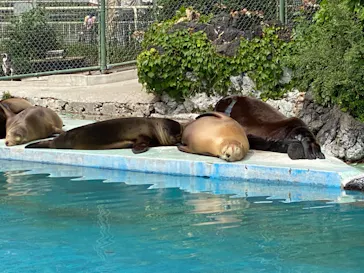 天王寺動物園に投稿された画像（2022/5/7）