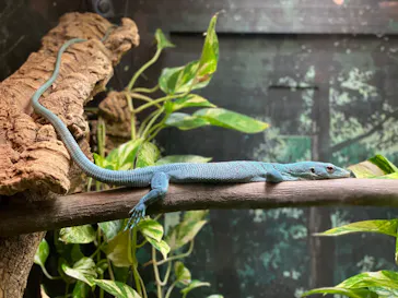 天王寺動物園に投稿された画像（2022/5/7）