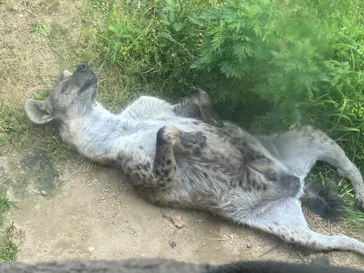 天王寺動物園に投稿された画像（2022/5/7）