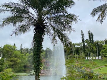 美らヤシパークオキナワ・東南植物楽園に投稿された画像（2022/5/7）