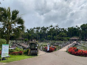 美らヤシパークオキナワ・東南植物楽園に投稿された画像（2022/5/7）