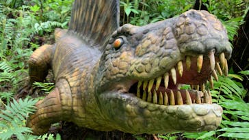 御菓子御殿　名護店　やんばる亜熱帯の森DINO恐竜PARKに投稿された画像（2022/5/7）