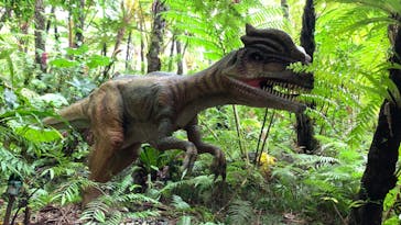 御菓子御殿　名護店　やんばる亜熱帯の森DINO恐竜PARKに投稿された画像（2022/5/7）