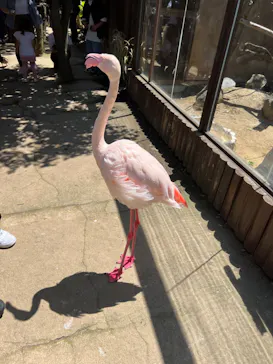 神戸どうぶつ王国に投稿された画像（2022/5/7）