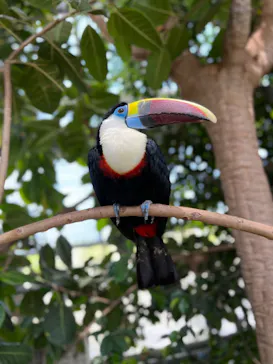 神戸どうぶつ王国に投稿された画像（2022/5/7）