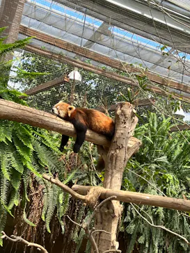 神戸どうぶつ王国に投稿された画像（2022/5/7）