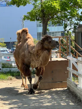 神戸どうぶつ王国に投稿された画像（2022/5/7）