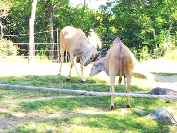 天王寺動物園に投稿された画像（2022/5/7）