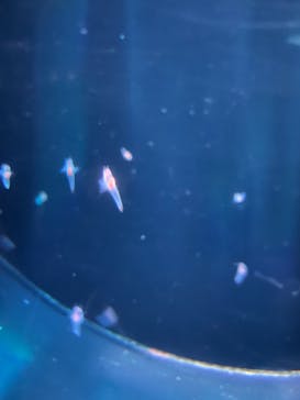 サンシャイン水族館に投稿された画像（2022/5/7）