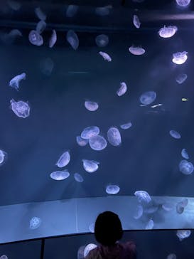 サンシャイン水族館に投稿された画像（2022/5/7）