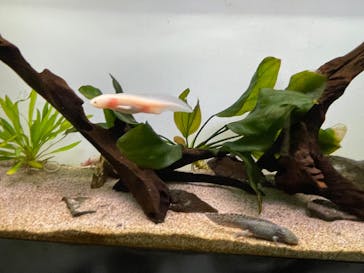 サンシャイン水族館に投稿された画像（2022/5/7）