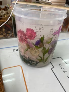 ずこうしつ〜sugamo〜に投稿された画像（2022/5/7）