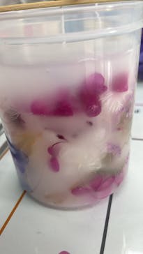 ずこうしつ〜sugamo〜に投稿された画像（2022/5/7）