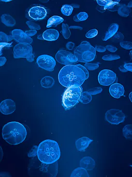 すみだ水族館に投稿された画像（2022/5/7）