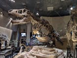 国立科学博物館に投稿された画像（2022/5/7）