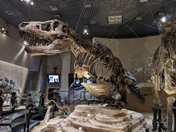 国立科学博物館に投稿された画像（2022/5/7）