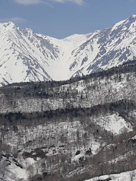 Hakuba47ウィンタースポーツパークに投稿された画像（2022/5/7）