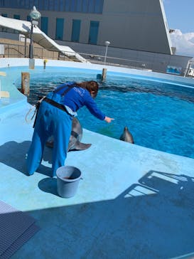 マリンワールド海の中道に投稿された画像（2022/5/7）