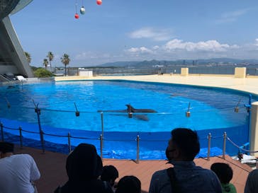 マリンワールド海の中道に投稿された画像（2022/5/7）