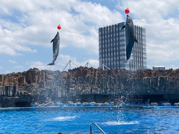 名古屋港水族館に投稿された画像（2022/5/7）