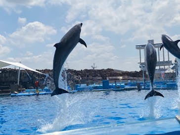 名古屋港水族館に投稿された画像（2022/5/7）