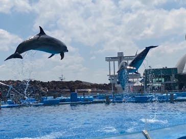 名古屋港水族館に投稿された画像（2022/5/7）