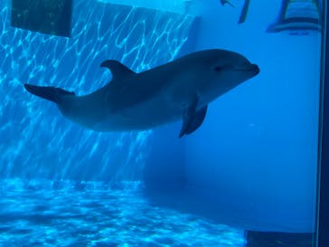 名古屋港水族館に投稿された画像（2022/5/7）