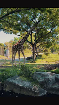 天王寺動物園に投稿された画像（2022/5/7）