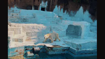 天王寺動物園に投稿された画像（2022/5/7）