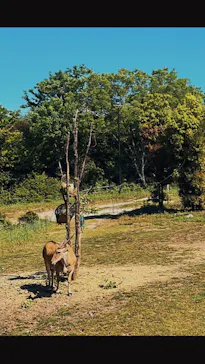 天王寺動物園に投稿された画像（2022/5/7）