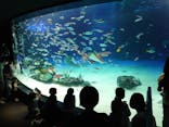 サンシャイン水族館に投稿された画像（2022/5/7）