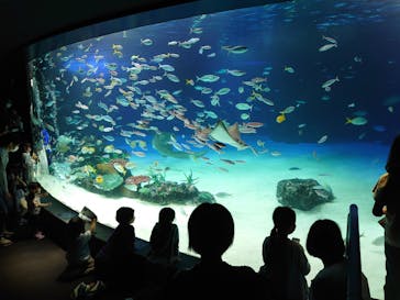 サンシャイン水族館に投稿された画像（2022/5/7）