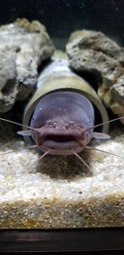 カワスイ 川崎⽔族館に投稿された画像（2022/5/7）